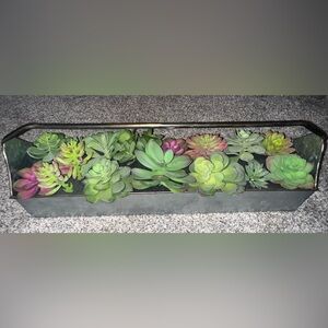 Large Succulent Decor